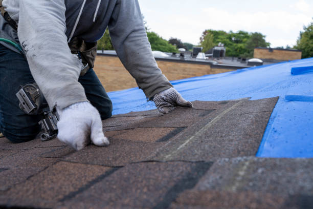 Best New Roof Installation  in Grosse Pointe Park, MI