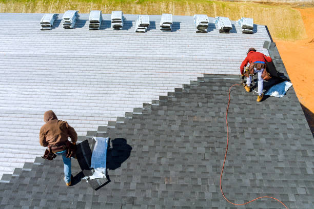 Best Shingle Roofing Installation  in Grosse Pointe Park, MI