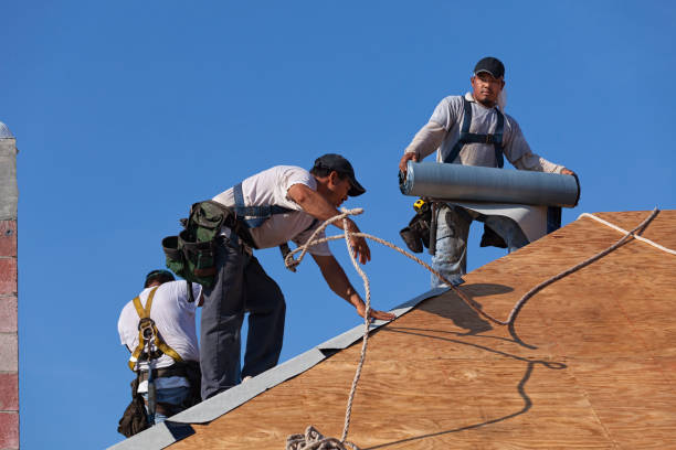 Best Metal Roofing Contractor  in Grosse Pointe Park, MI