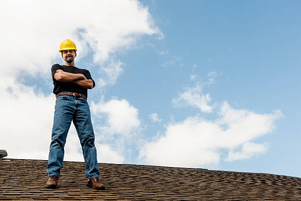 Best Roof Gutter Cleaning  in Grosse Pointe Park, MI