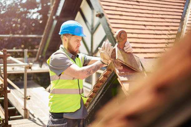 Best Residential Roofing Contractor  in Grosse Pointe Park, MI